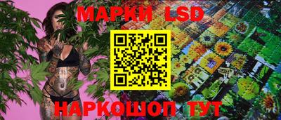 СК Новокубанск