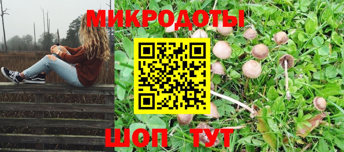 Галлюциногенные грибы прущие грибы Торжок