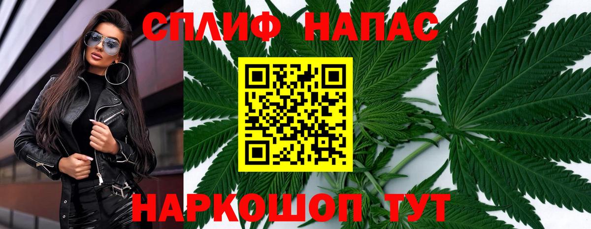 Конопля план Торжок